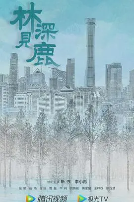 《林深见鹿》：中年危机下的爱情抉择，都市男女的现实与理想！